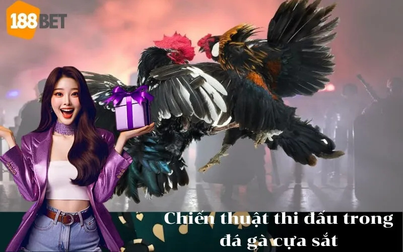 Chiến thuật thi đấu trong đá gà cựa sắt