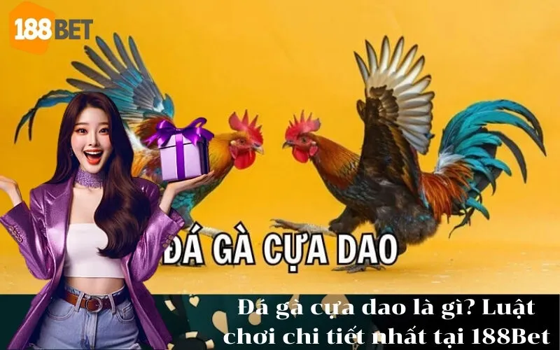 Đá gà cựa dao là gì Luật chơi chi tiết nhất tại 188Bet
