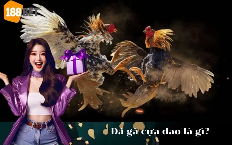 Đá gà cựa dao là gì