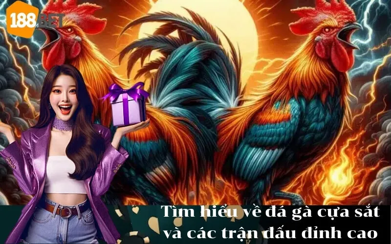 Tìm hiểu về đá gà cựa sắt và các trận đấu đỉnh cao